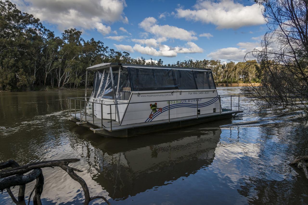 Moama On Murray Houseboats Buitenkant foto